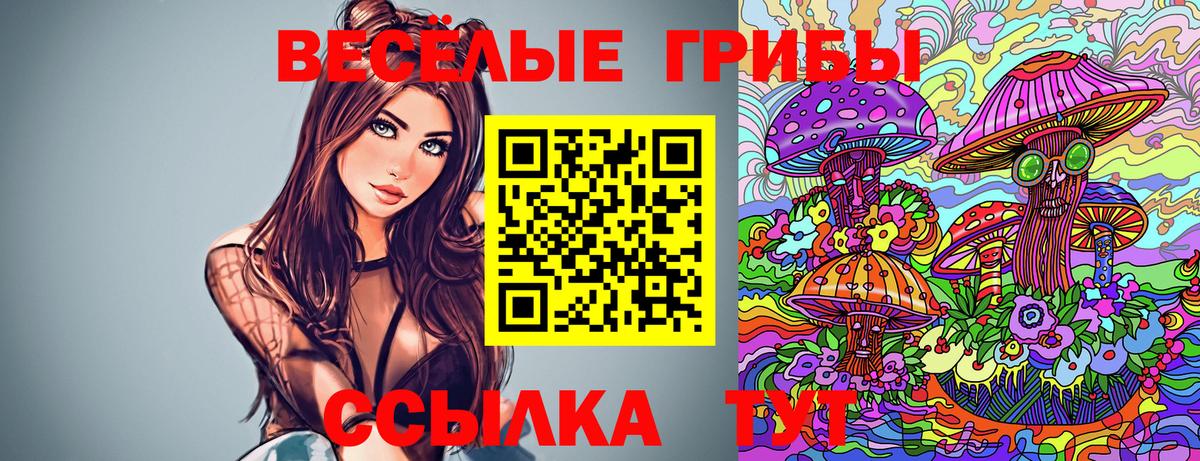 Коломна  Псилоцибиновые грибы MAGIC MUSHROOMS  Псилоцибиновые грибы Psilocybine cubensis  купить  цена  Вход с VPN 